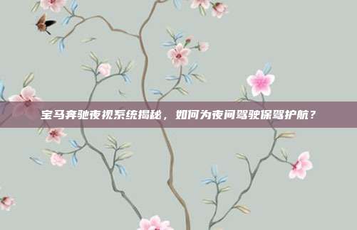 宝马奔驰夜视系统揭秘，如何为夜间驾驶保驾护航？