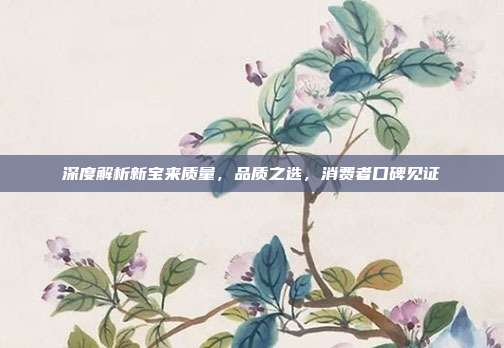 深度解析新宝来质量，品质之选，消费者口碑见证