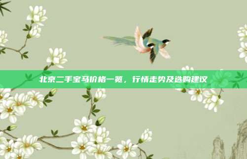 北京二手宝马价格一览，行情走势及选购建议