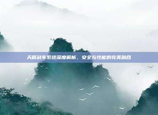 天籁刹车系统深度解析，安全与性能的完美融合