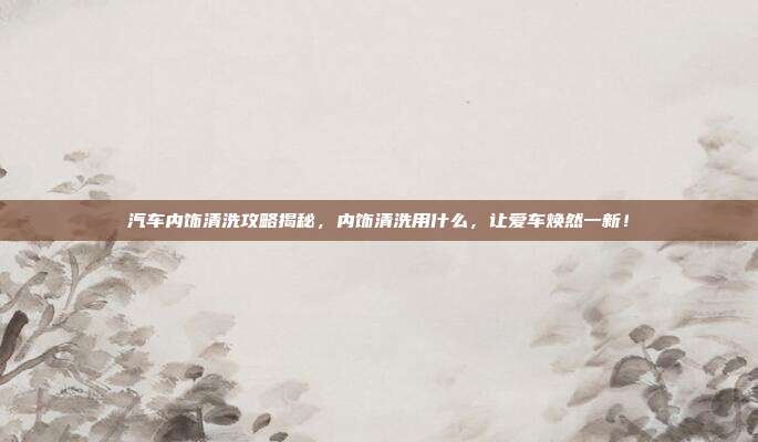汽车内饰清洗攻略揭秘，内饰清洗用什么，让爱车焕然一新！