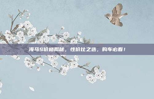 海马S价格揭秘，性价比之选，购车必看！