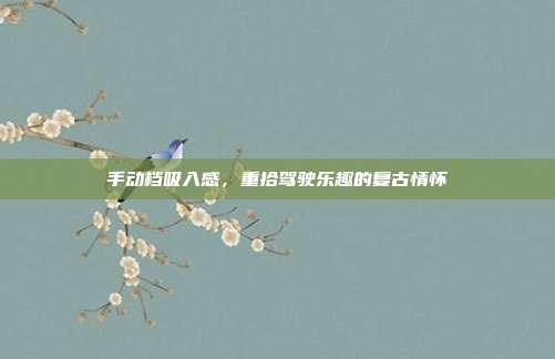手动档吸入感，重拾驾驶乐趣的复古情怀