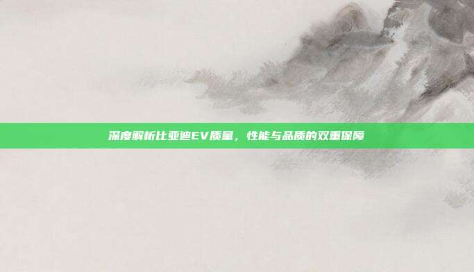 深度解析比亚迪EV质量，性能与品质的双重保障
