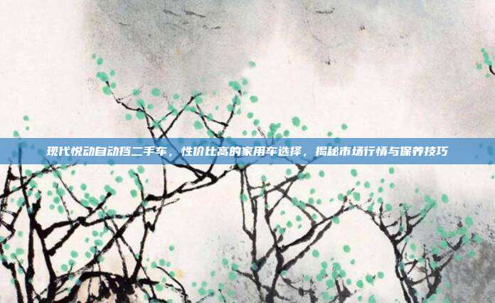 现代悦动自动挡二手车，性价比高的家用车选择，揭秘市场行情与保养技巧