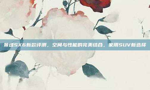 景逸SX6新款评测，空间与性能的完美结合，家用SUV新选择