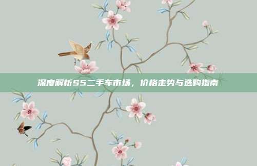 深度解析S5二手车市场，价格走势与选购指南