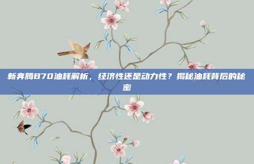 新奔腾B70油耗解析，经济性还是动力性？揭秘油耗背后的秘密