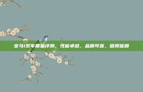 宝马1系车质量评测，性能卓越，品质可靠，值得信赖