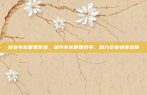 途安车队管理系统，提升车队管理效率，助力企业快速发展