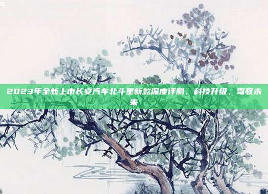 2023年全新上市长安汽车北斗星新款深度评测，科技升级，驾驭未来