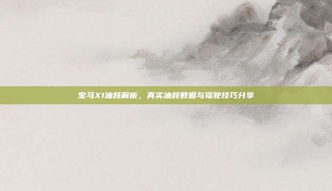 宝马X1油耗解析，真实油耗数据与驾驶技巧分享