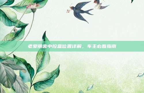 老爱丽舍中控盒位置详解，车主必看指南