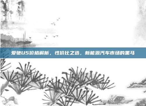 爱驰U5价格解析，性价比之选，新能源汽车市场的黑马