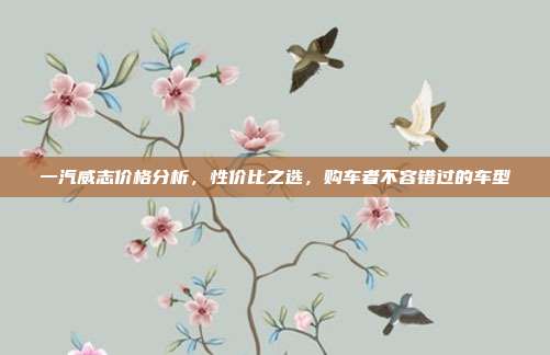 一汽威志价格分析，性价比之选，购车者不容错过的车型