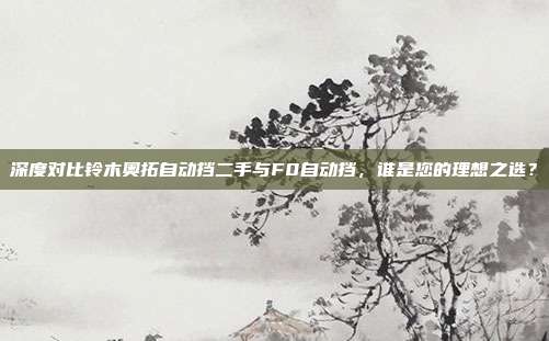 深度对比铃木奥拓自动挡二手与F0自动挡，谁是您的理想之选？