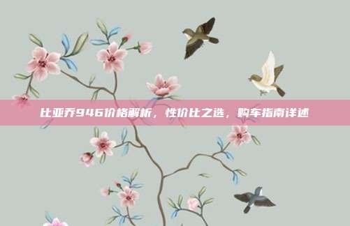 比亚乔946价格解析，性价比之选，购车指南详述