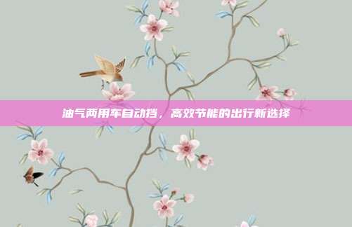 油气两用车自动挡，高效节能的出行新选择