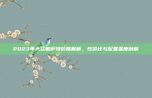 2023年大众帕萨特价格解析，性价比与配置深度剖析