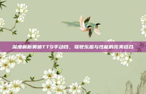 深度解析奥迪TTS手动挡，驾驶乐趣与性能的完美结合