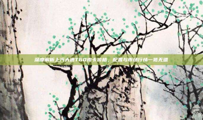 深度解析上汽大通T60皮卡价格，配置与市场行情一览无遗