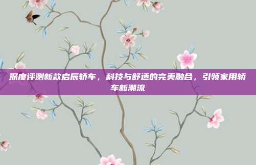 深度评测新款启辰轿车，科技与舒适的完美融合，引领家用轿车新潮流