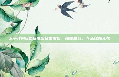太平洋M6理赔系统全面解析，便捷高效，车主理赔无忧