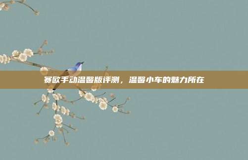 赛欧手动温馨版评测，温馨小车的魅力所在