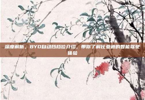 深度解析，BYD自动挡档位介绍，带你了解比亚迪的智能驾驶体验