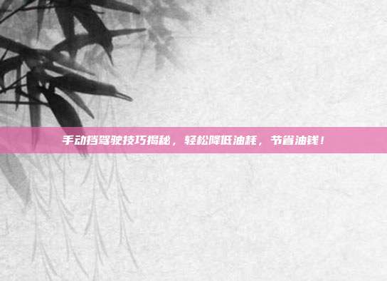 手动挡驾驶技巧揭秘，轻松降低油耗，节省油钱！