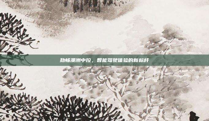 劲畅澳洲中控，智能驾驶体验的新标杆