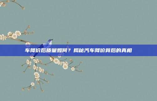 车降价后质量如何？揭秘汽车降价背后的真相