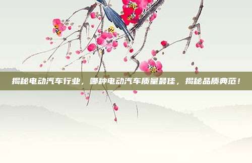 揭秘电动汽车行业，哪种电动汽车质量最佳，揭秘品质典范！