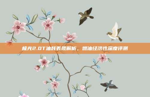 极光2.0T油耗表现解析，燃油经济性深度评测