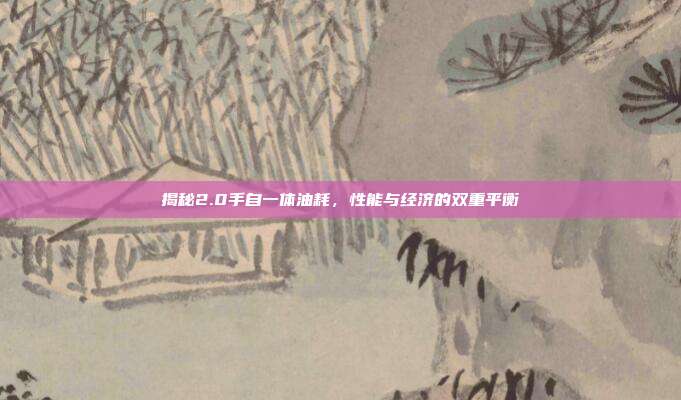 揭秘2.0手自一体油耗，性能与经济的双重平衡