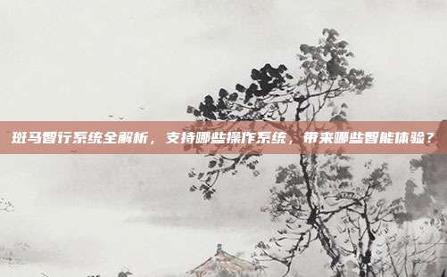 斑马智行系统全解析，支持哪些操作系统，带来哪些智能体验？