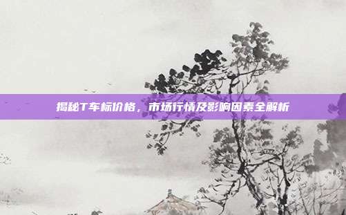 揭秘T车标价格，市场行情及影响因素全解析