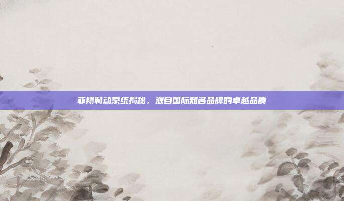 菲翔制动系统揭秘，源自国际知名品牌的卓越品质