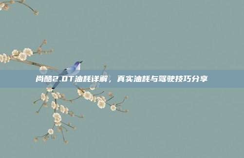 尚酷2.0T油耗详解，真实油耗与驾驶技巧分享