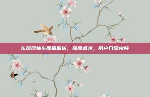 东风风神车质量解析，品质卓越，用户口碑良好