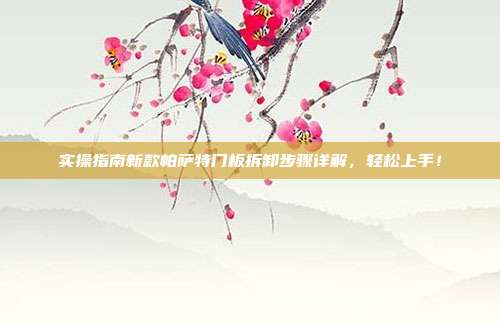 实操指南新款帕萨特门板拆卸步骤详解，轻松上手！