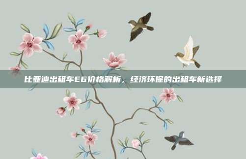 比亚迪出租车E6价格解析，经济环保的出租车新选择