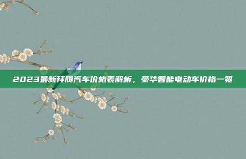 2023最新拜腾汽车价格表解析，豪华智能电动车价格一览