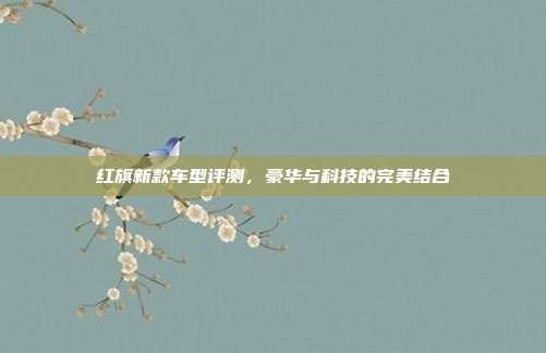 红旗新款车型评测，豪华与科技的完美结合
