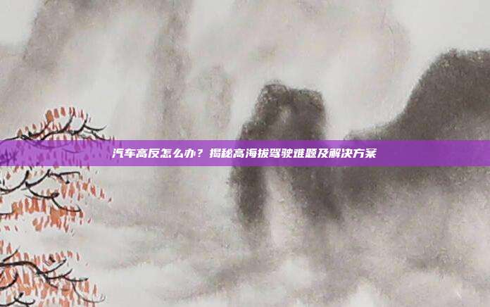 汽车高反怎么办？揭秘高海拔驾驶难题及解决方案