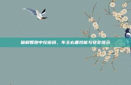 破解智跑中控密码，车主必备技能与安全提示