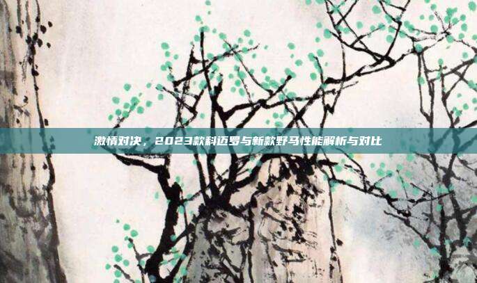 激情对决，2023款科迈罗与新款野马性能解析与对比