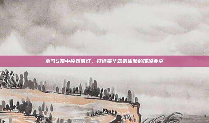 宝马5系中控氛围灯，打造豪华驾乘体验的璀璨夜空