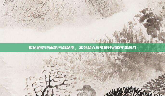 揭秘帕萨特油耗15的秘密，高效动力与节能技术的完美结合