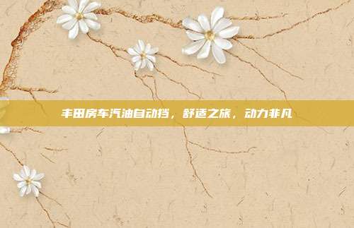 丰田房车汽油自动挡，舒适之旅，动力非凡